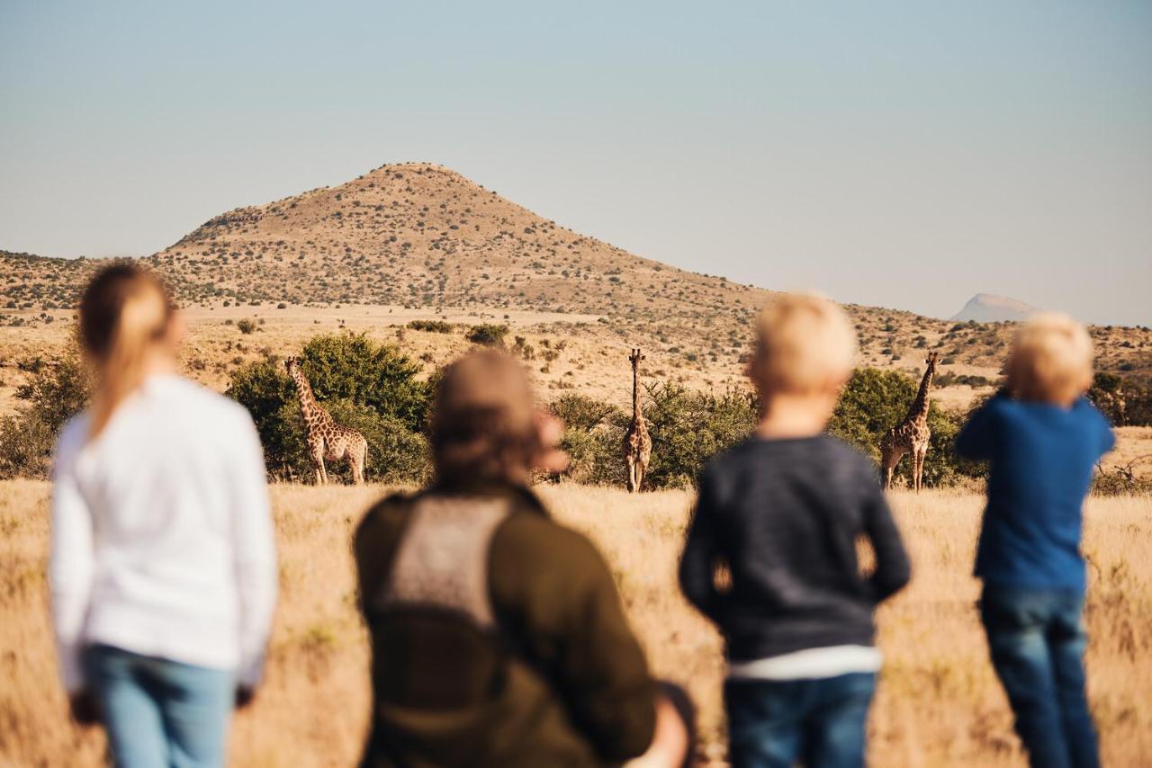 Glen Harry Game Reserve Graaff-Reinet Eksteriør billede