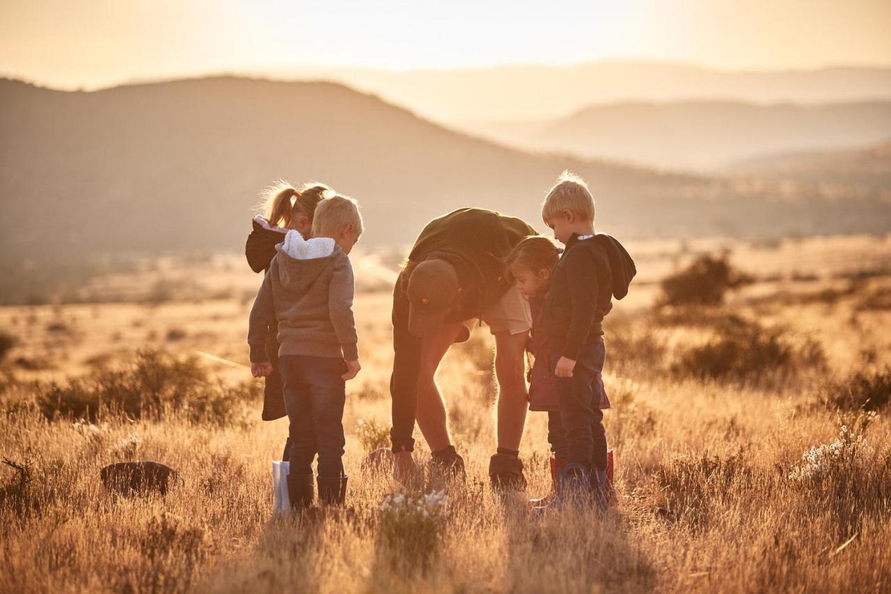 Glen Harry Game Reserve Graaff-Reinet Eksteriør billede