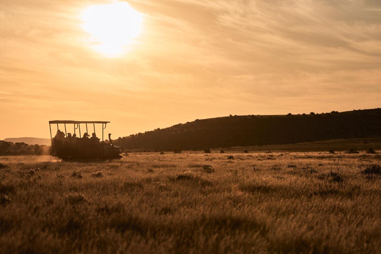 Glen Harry Game Reserve Graaff-Reinet Eksteriør billede